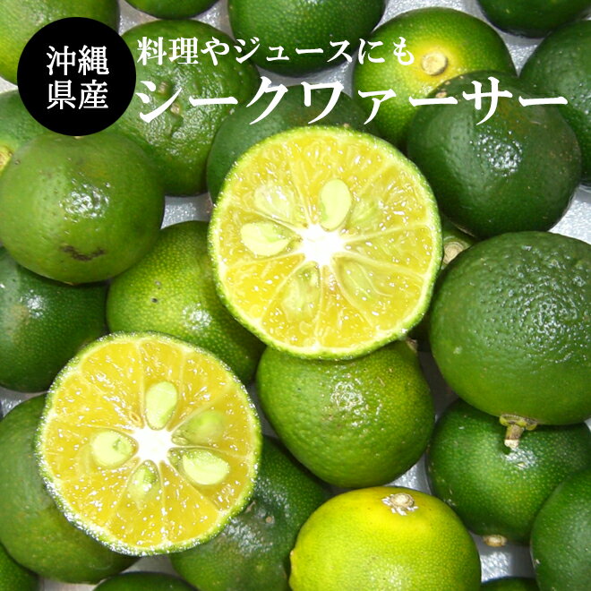 【送料無料】沖縄産シークワーサー 果実1.5kg（40〜80玉前後）