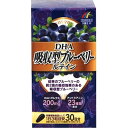 ユニマットリケン DHA吸収型ブルーベリールテイン 90粒