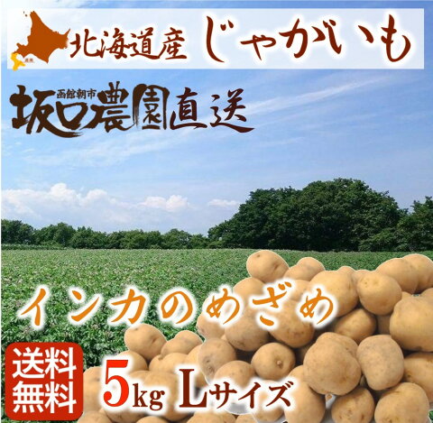 《予約販売》 新じゃがいも 北海道 「インカのめざめ」 Lサイズ 5kg 【函館市 坂口農園】送料無料 産地直送 産直 期間限定 馬鈴薯 男爵 メークイーン 《期間限定販売》