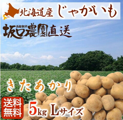 《予約販売》 新じゃがいも 北海道 「きたあかり」 Lサイズ 5kg 【函館市 坂口農園】送料無料 産地直送 産直 期間限定 馬鈴薯 男爵 メークイーン