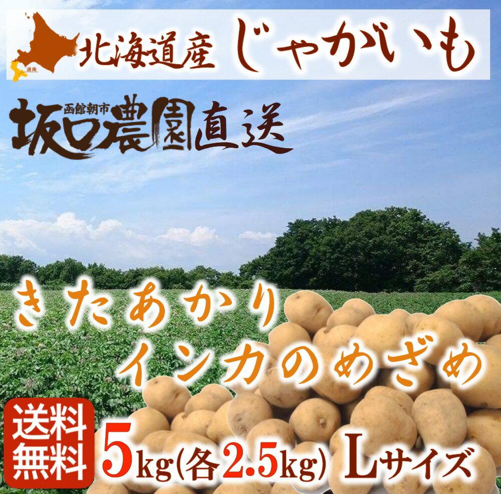 《予約販売》 新じゃがいも 北海道 「きたあかり」「インカのめざめ」 Lサイズ 5kg (各2.5kg)セット 【函館市 坂口農園】送料無料 産地直送 産直 期間限定 馬鈴薯 男爵 メークイーン 《9月上旬より順次発送》