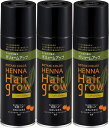 【期間限定特価】3本セット ヘナ ヘアグロー 150g <薄毛の悩みに!瞬間増毛スプレー
