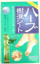 ¡Ú¥Í¥³¥Ý¥¹290±ßÂбþ¡Û ¥³¥¸¥Ã¥È ¥Ï¡¼¥Ö¼ù±Õ¥·¡¼¥È 8ËçÆþ¤ê ¡ã¤Ò¤ó¤ä¤êÀ¶Îô¶¤Î¼ù±Õ¥·¡¼¥È¡¦ ¿²¤Æ¤¤¤ë´Ö¤Ë¿åÆÇ¤òµÛ¤¤½Ð¤¹¡ª¡ä