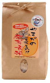 熊本の自然食品【自然農園　蓮華】やまがの元気！！発芽玄米（120g×7袋）＜無農薬有機栽培！＞