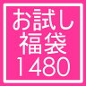 ★送料無料85%OFF★パワーストーンお試し福袋★当店初回ご利用者さま限定　天然石　水晶　オニキス　アメジストなど金運・浄化・開運に！ 10P24sep10