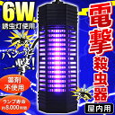 電撃殺虫器 6W 来品より有効範囲UP! ランプで誘って害虫をパシッと撃退! ランプ寿命8,000時間 屋内用 吊下げ式 誘虫灯 クリーン殺虫灯 夏物特集 【検索: 蚊 ハエ 羽虫 蛾 羽アリ 害虫駆除 虫除け 虫よけ ライト 電気式 電子式 】 ◇ DP-06