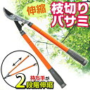 送料無料! 2段階伸縮式 枝切りバサミ 高い枝らくらくカット! 最長84.5cm 木の剪定・刈り込みもOK 握りやすいラバーグリップ 【検索: 園芸用 剪定ばさみ 剪定鋏 高枝切りバサミ ハサミ はさみ ガーデニング 庭木 植木 】 送料込 ◇ 枝切りバサミC
