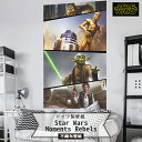 壁紙 スターウォーズ ドイツ製 【VD-026】Star Wars Moments Rebels 輸入壁紙 デザイン おしゃれ 輸入 海外 不織布 壁紙 クロス のり付き DIY リフォーム ディズニー Disney スターウォーズ だまし絵