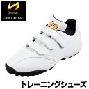 【Zeems】【ジームス】 野球トレーニングシューズ 25cm/25.5cm/26cm/26.5cm/27cm/27.5cm/28cm/28.5cm/29.0cm トレーニング シューズ 野球