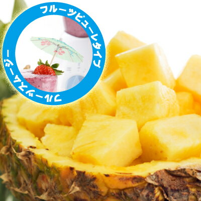 ★冷凍★TROPICAL　MARIA　フルーツピューレ　パイナップル（90g×10袋）