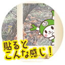 横からのぞくふっかちゃんシール 画像3