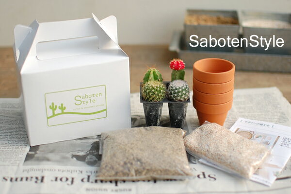 【サボテン・多肉植物 4種類/SABOTEN BOX（素焼き鉢4個入）】サボテンの植え込みにチャレンジ♪好きなサボテンが4種類選べます！