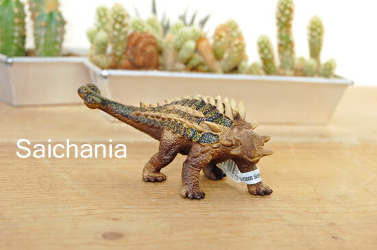 饤ҡεե奢ڥ˥ S Saichania S)