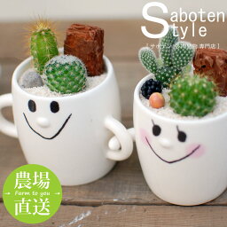 【 サボテン 寄せ植え / スマイルファミリー“ペア”】/ <strong>多肉植物</strong> ミニサボテン 観葉植物 インテリア オシャレ おしゃれ かわいい プレゼント <strong>ギフト</strong> 雑貨 母の日 父の日 バレンタイン ホワイトデー クリスマス 結婚祝い 後藤サボテン GOTO SABOTEN /