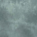 ¥é¥¹¥È¥é¥¤¥È(lastolite)¡¡¥«¡¼¥Æ¥ó/¥â¥º¥ê¥ó¡¡3¡ß3.5m ¥ï¥·¥ó¥È¥ó¡¡LB7740