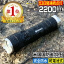 【クーポンで20%OFF】 懐中電灯 最強 防水 イグナス ...