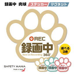 ＼今なら送料無料／ 【SAFETY MANIA】 ドラレコ <strong>ステッカー</strong> 録画中 肉球 車用<strong>ステッカー</strong> 可愛い<strong>ステッカー</strong> 煽り運転対策 録画中<strong>ステッカー</strong> 車 かわいい 肉球<strong>ステッカー</strong> ドライブレコーダー 選べる <strong>ステッカー</strong> マグネット あおり運転防止 犬 <strong>猫</strong> 《30日間の無料交換保証付》