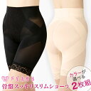 2016新作「芦屋美整体 骨盤スッキリスリムショーツ 2016 2枚組」送料無料【ガードル