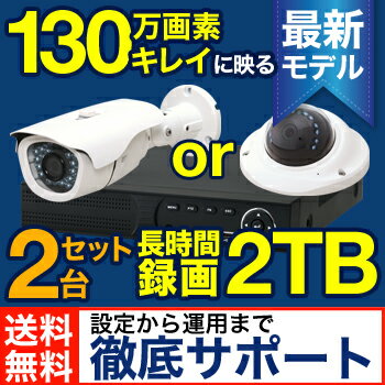 防犯カメラ 監視カメラ 130万画素 2台 屋外セット 大容量 選べる防犯カメラ【送料無料】【安心保...:safetyzone:10002197