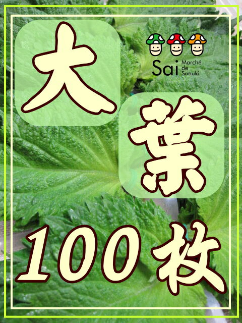 大葉　100枚...:sai-marche-de-sanuki:10000124