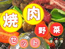 バーベキュー野菜セット 焼肉のおとも野菜 バーベキュー に♪ キャンプ に♪B.B.Q!!BBQ!!!