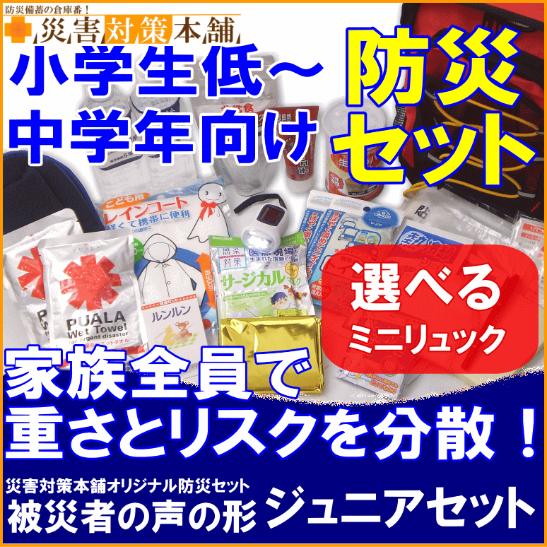 こども用 防災セット ＜被災者の声の形＞ ジュニアセット 【対象年齢：6〜10歳】■リマイ…...:saigaitaisakuhonpo:10000532