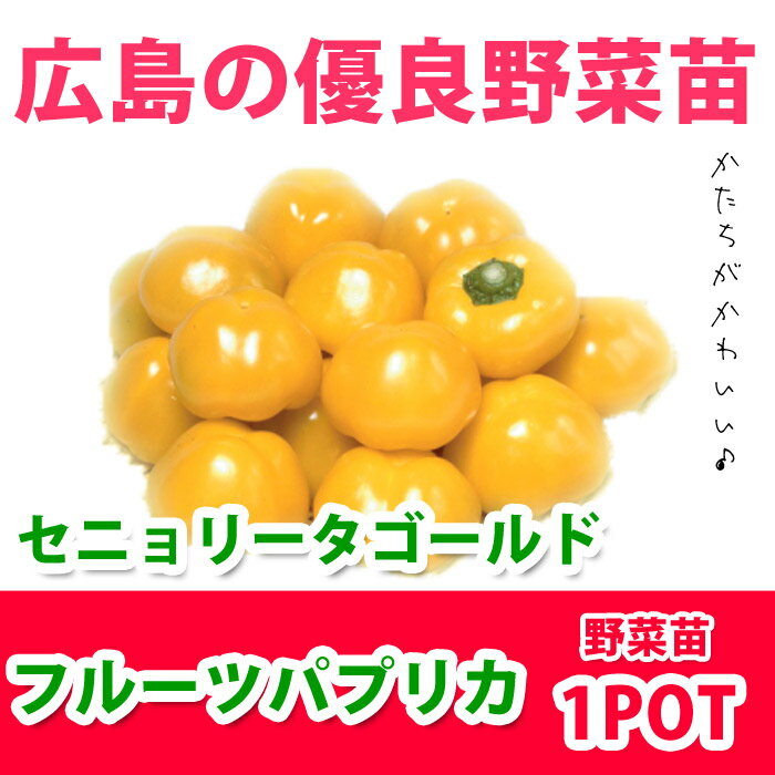 フルーツパプリカ セニョリータゴールド(苗)