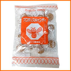 プロポリスキャンディ 100g (プロポリスキャンディー)【あす楽対応】