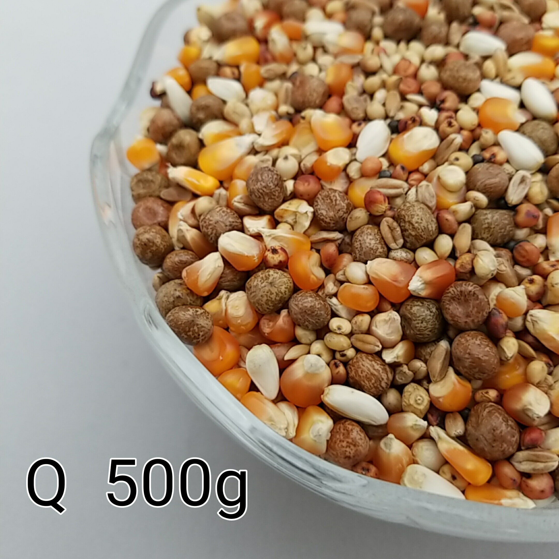 鳩のえさ 特別配合 Q 500g とうもろこし トウモロコシ ペット 鳥 餌 小動物 えさ エサ 鳩 ハト はと ハムスター 鳩の餌 はとのえさ ごはん おやつ おすすめ お勧め