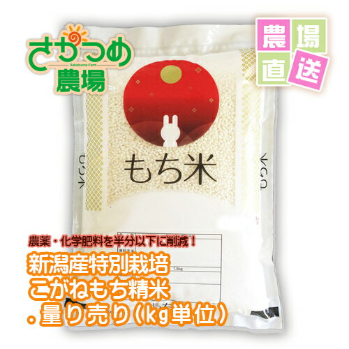 平成28年新潟産こがねもち精米　kg売り...:saka-farm:10000025