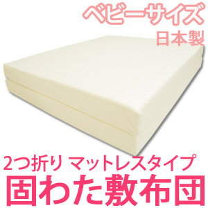Img55599310