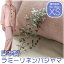 【日本製】ラミーリネンパジャマ(前開きボタンえり付き)XSサイズ(適用身長:150-160cm)532P26Feb16【受注発注】