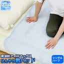 涼感 ICEMAX アイスマックス 敷きパッド ハーフサイズ (100×100cm) 532P26Feb16【RCP】【140705coupon300】【a_b】【敷パッド シングル シーツ 丸洗いOK 清涼寝具 節電】 fs04gm