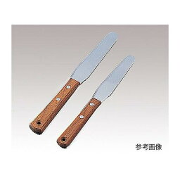 AS　<strong>軟膏ヘラ</strong>10インチ40×255 （品番___6-528-06）（注番8216099）・（送料別途見積り,法人・事業所限定,取寄）