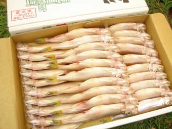 【子持】本ししゃも「3L-30尾」
