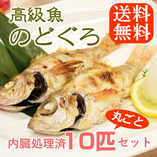 話題の高級魚[のどぐろ]が嬉しい10匹セットでさらに！【送料無料】★(ウロコ・内臓処理済み)ノドグロ/のど黒/喉黒/赤むつ/赤ムツ/あかむつ