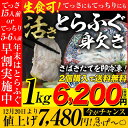 【20日まで早割延長】【2個同時購入で送料無料】コスパで選ぶ!国産(長崎)限定活きとら