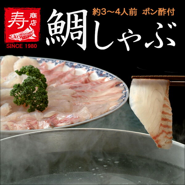 【父の日/母の日/ギフトに】【送料無料】＜桜鯛しゃぶしゃぶ鍋約3〜4人前＞自家製ポン酢付き（タイ・たい）【冷凍・冷蔵便同梱可】【楽ギフ_のし】【ギフト・贈り物に】【10P03Dec16】