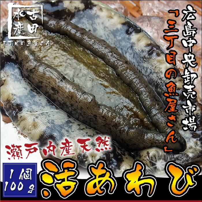 【瀬戸内産】天然活あわび1個100g（冷蔵便）[メール便：不可]...:sakanaya0128:10000030