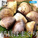 活貝はまぐり約80-100gが8-10個(冷蔵便)[メール便...