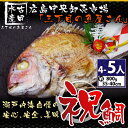 【お食い初め】魚屋さんのお祝い天然焼き鯛800g(4〜5人分...