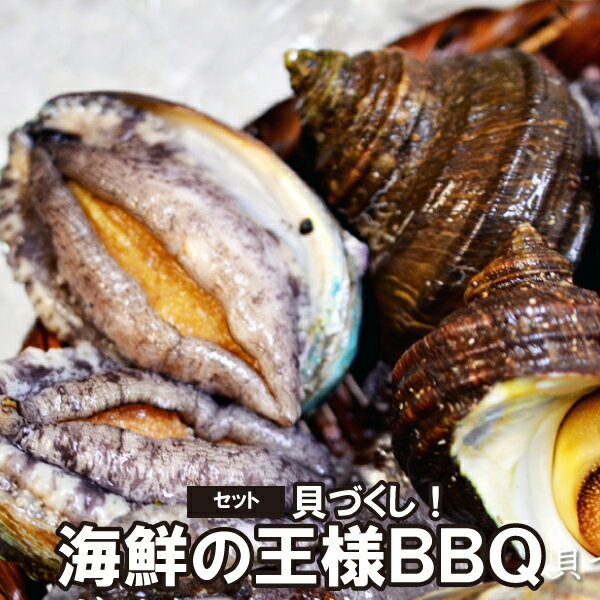 LÂ CN̉lo[xL[Zbg TUG ͂܂ ڈ΃Ar BBQ ALÂ ①   Ar n O 蕨 j  L