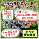 オーガニック野菜【青森県産】ミネラルボックスCコース