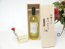 母の日 ギフトセット ワインセット お母さんありがとう木箱セ...