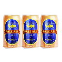 【キャッシュレス5%還元】銀河高原 ペールエール350ml(24本入)×3ケース 銀河高原ビール(岩手県) お歳暮 クリスマス