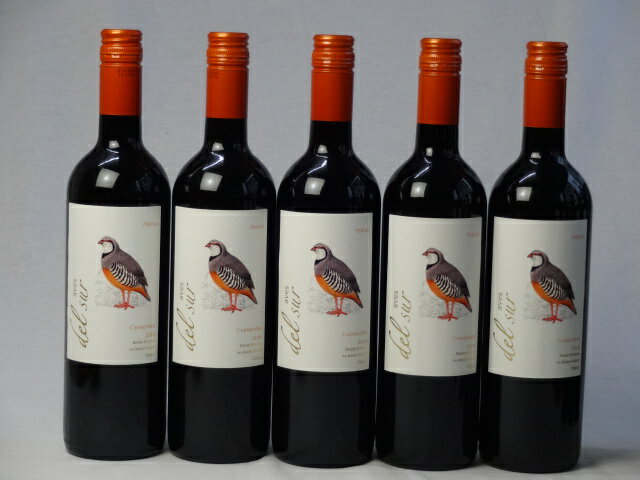 5本セット ミディアムボディ赤ワイン デルスール カルメネール(チリ) 750ml×5本...:sake-gets:16147216