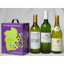 ワインセット フランス産大容量白ワイン飲み比べセット(ジャンジャン ソーヴィニヨン・ブラン フランス 白ワイン 辛口 3000m