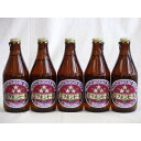 【最大2000円オフクーポン28日1:59迄】金鯱 ミツボシヴァイツェン330ml×5本