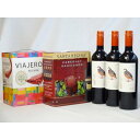 ワインセット チリ産大容量赤ワイン飲み比べセット(VIAJERO(ヴィアヘロ)赤ワイン3000ml サンタ・レジーナ カベルネ