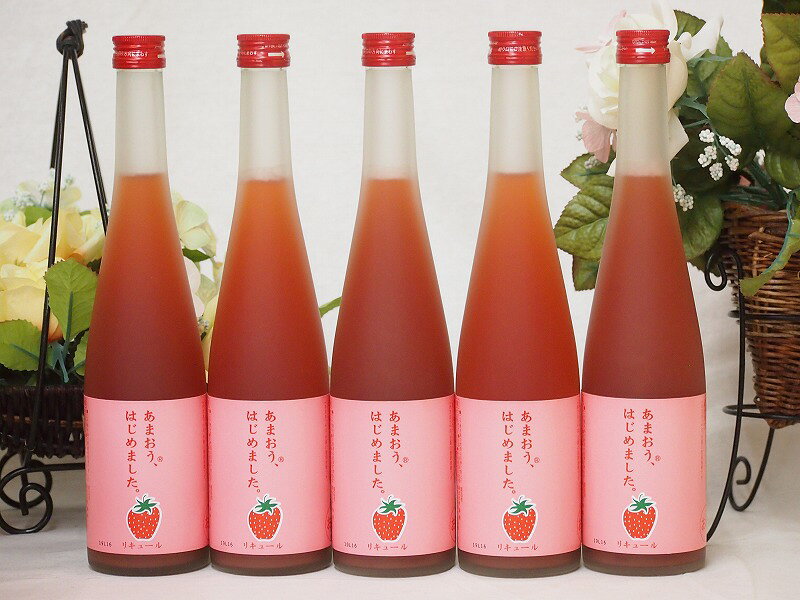 篠崎 あまおう梅酒あまおう、はじめました（福岡県）500ml×5本